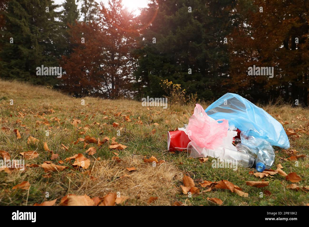 Ein Haufen Plastikmüll auf Gras in der Nähe von Wäldern. Platz für Text Stockfoto