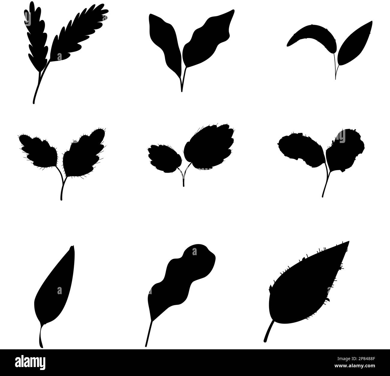 Satz schwarzer Silhouetten von Blättern auf weißem Hintergrund, Vektordarstellung, tropisches exotisches Laub Stock Vektor