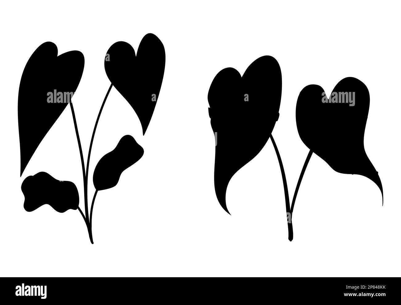 Schwarze Silhouetten von Lilien mit zwei Rufen auf weißem Hintergrund, Vektordarstellung Stock Vektor