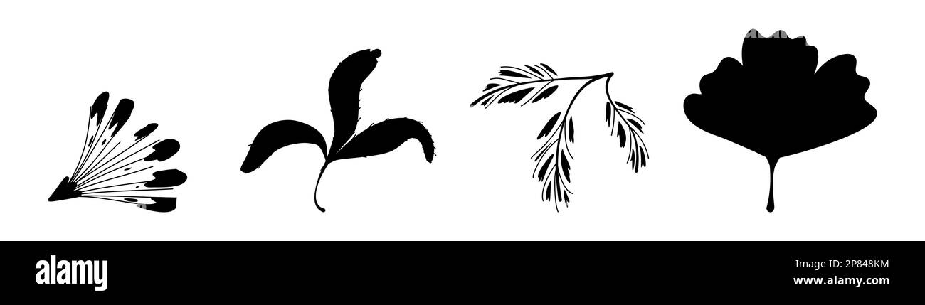 Satz verschiedener Arten von Leaves, die auf weißem Hintergrund isoliert sind Stock Vektor