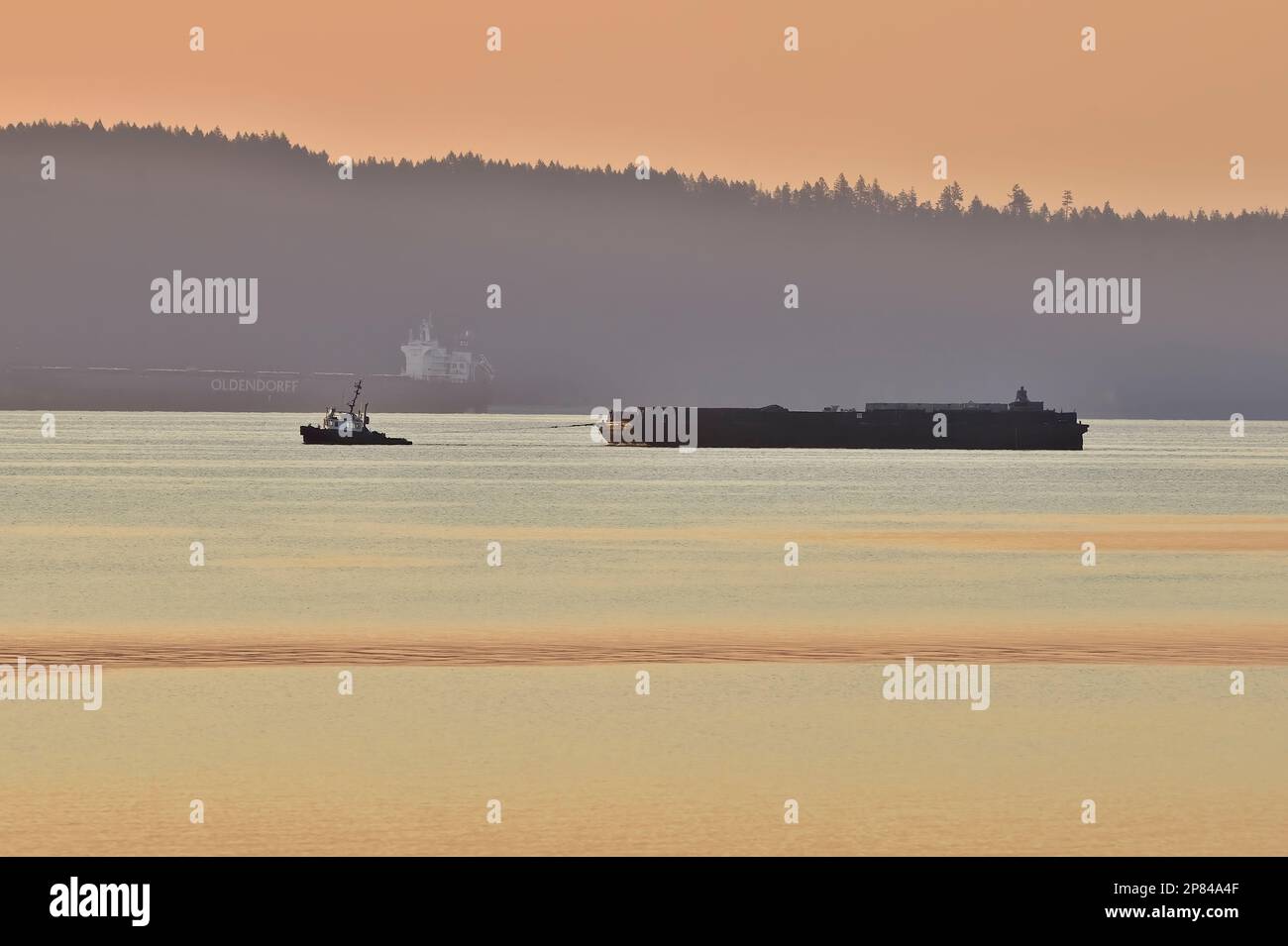 Ein Schleppboot, das im warmen Morgenlicht auf dem Stewart-Kanal von British Columbia Canada einen Lastkahn zieht. Stockfoto