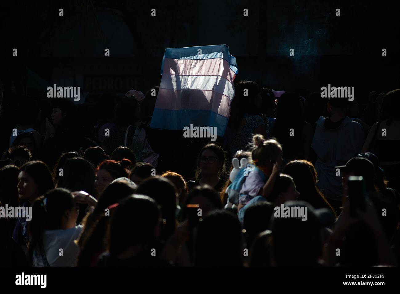 Santiago, Metropolitana, Chile. 8. März 2023. Eine Frau hisst eine Flagge während eines marsches anlässlich des Internationalen Frauentags in Santiago, Chile. (Kreditbild: © Matias Basualdo/ZUMA Press Wire) NUR REDAKTIONELLE VERWENDUNG! Nicht für den kommerziellen GEBRAUCH! Kredit: ZUMA Press, Inc./Alamy Live News Stockfoto