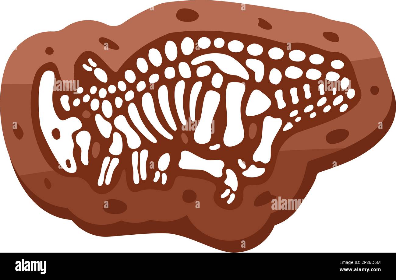 ParasaurolophusFossilienSkelett. ParasaurolophusFossilienknochen