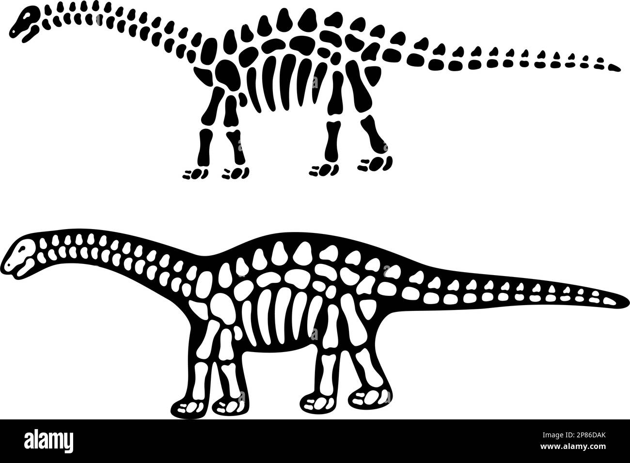 Brahiosaurusknochen und Schädel. Brahiosaurus-Skelett. Prähistorische Tiersilhouette. Paläontologie und Archäologie. Prähistorische Kreatur Knochen Stock Vektor