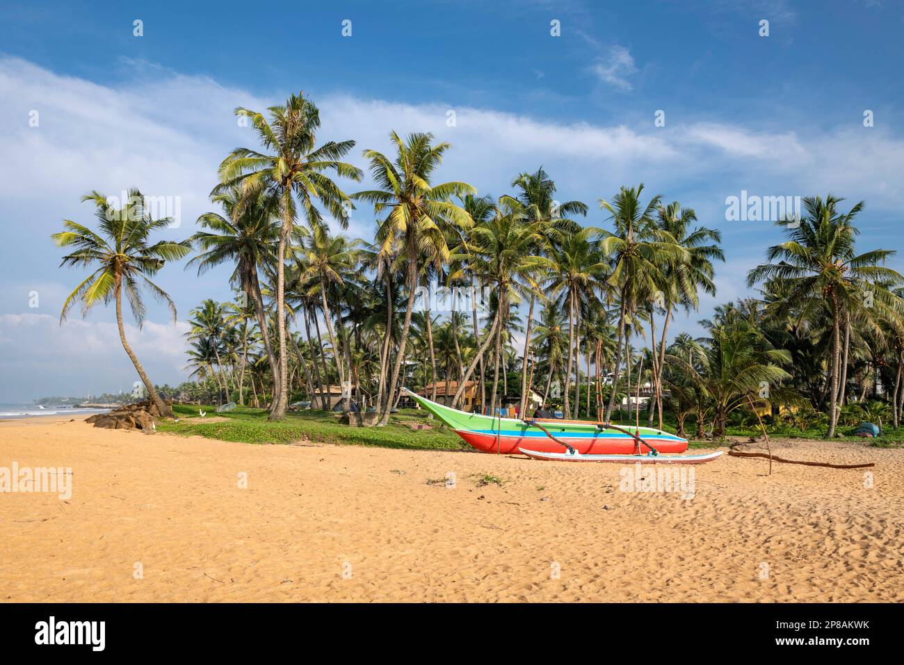Sri Lanka, Südprovinz, Süd, Süd, Süd, plage, Strand, Strand, palmier, palmiers, Palme, Palmen, Palmen, Palmen, Bateau de pêche, bateaux de p Stockfoto