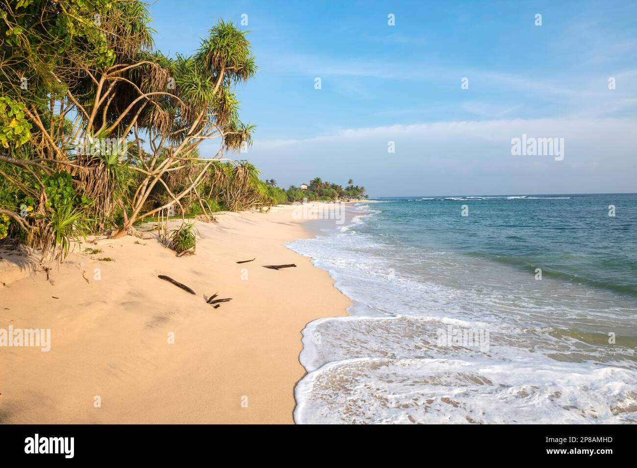 Sri Lanka, Südprovinz, Süd, Süd, Süd, ozean, Ozean, Ozean, Plage, Strand, Strand, Mangroven, Mangroven Stockfoto