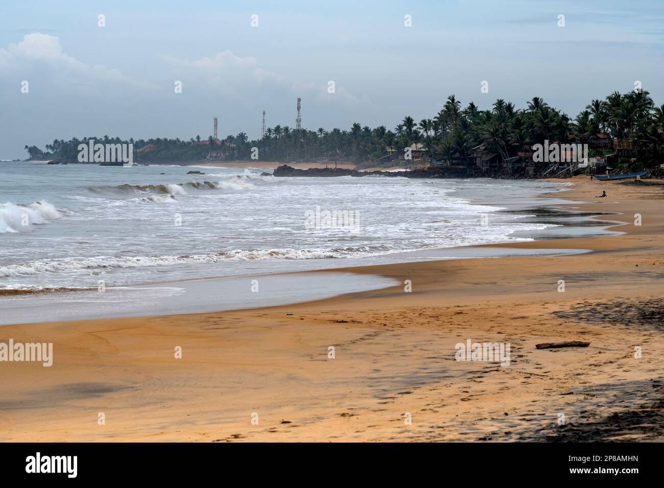 Sri Lanka, Südprovinz, Süd, Süd, Süd, ozean, Ozean, Ozean, Plage, Strand, Strand, palmier, palmiers, Palme, Palmen, Palmen, Palmen Stockfoto