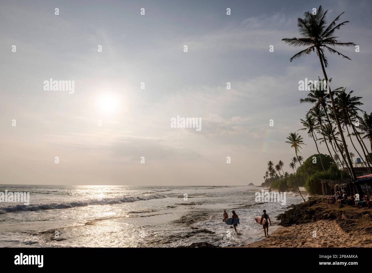 Sri Lanka, Südprovinz, Süd, Süd, Süd, océan, Ozean, Ozean, palmier, palmiers, Palme, Palmen, Palmen, Palmen, Surfen, Surfen, Sport, Sport Stockfoto