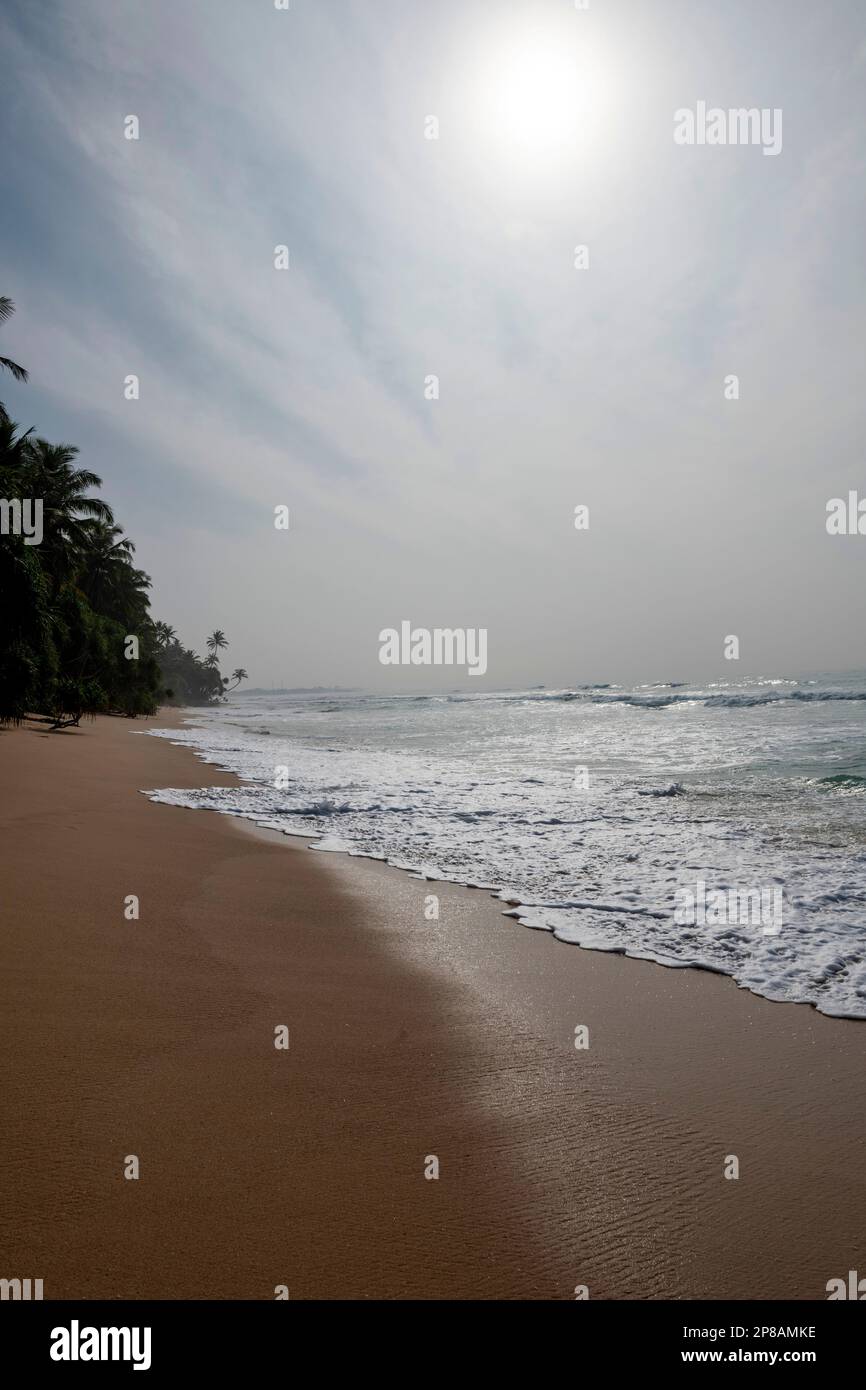 Sri Lanka, Südprovinz, Süd, Süd, Süd, plage, Strand, Strand, ozean, palmier, Palme, Palm, palmiers, Palmen, Palmen Stockfoto