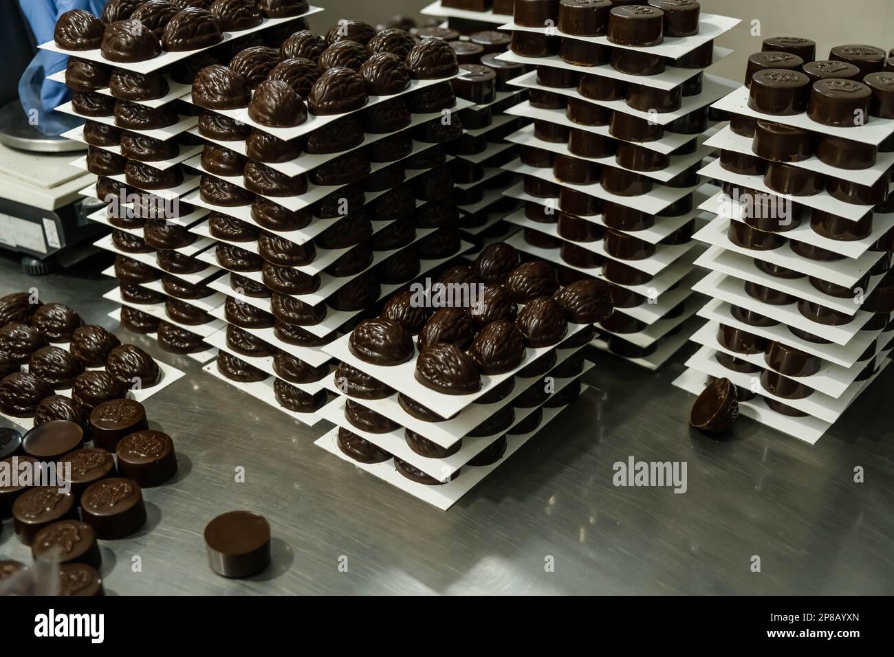 Verschiedene luxuriöse Pralinen aus dunkler und milchbiologischer Schokolade Stockfoto