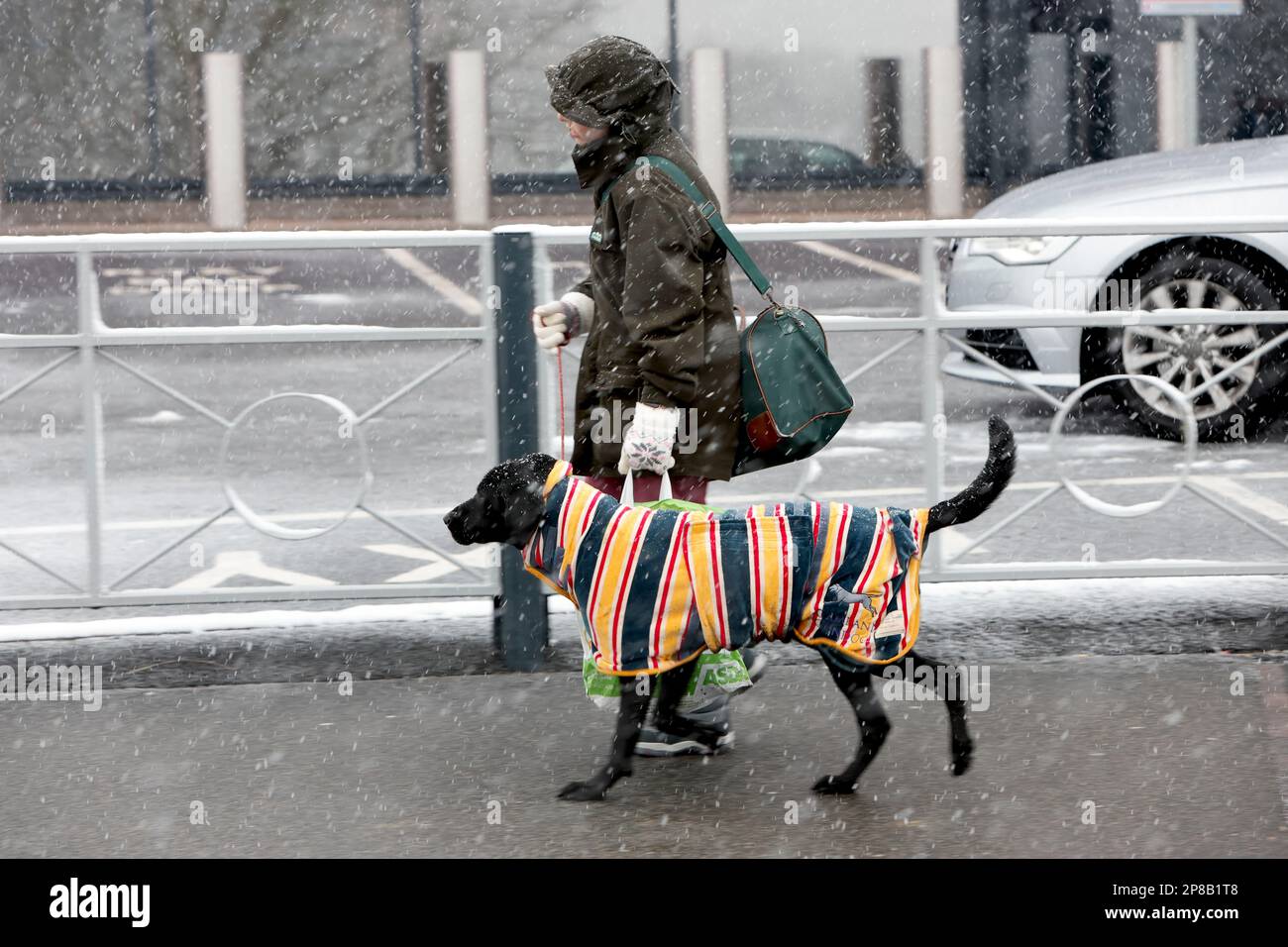 Birmingham, Großbritannien. 9. März 2023. Hunde und ihre Leute kommen an einem verschneiten Tag für den ersten Tag von Crufts 2023. Kredit: ️Jon Freeman/Alamy Live News Stockfoto