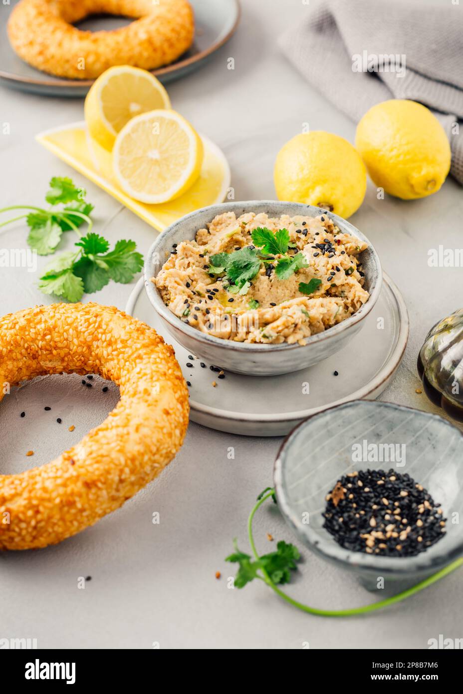 Baba ganoush: Vorspeise der Levantinküche aus gebackener Aubergine und Sesampaste mit Kräutern und Olivenöl. Stockfoto