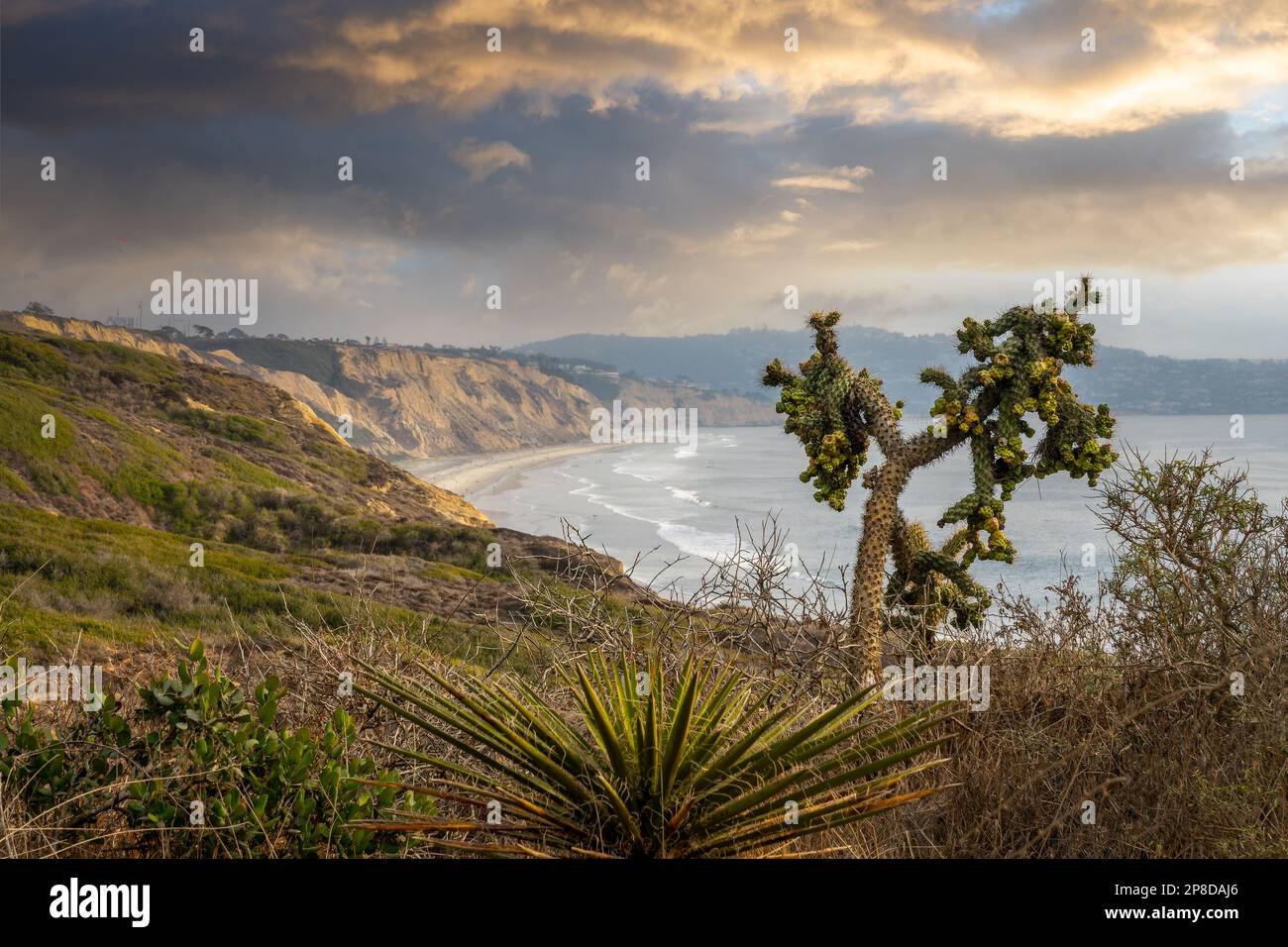 Torrey Pines State Natural Reserve, Cliff View, San Diego Kalifornien Stockfoto