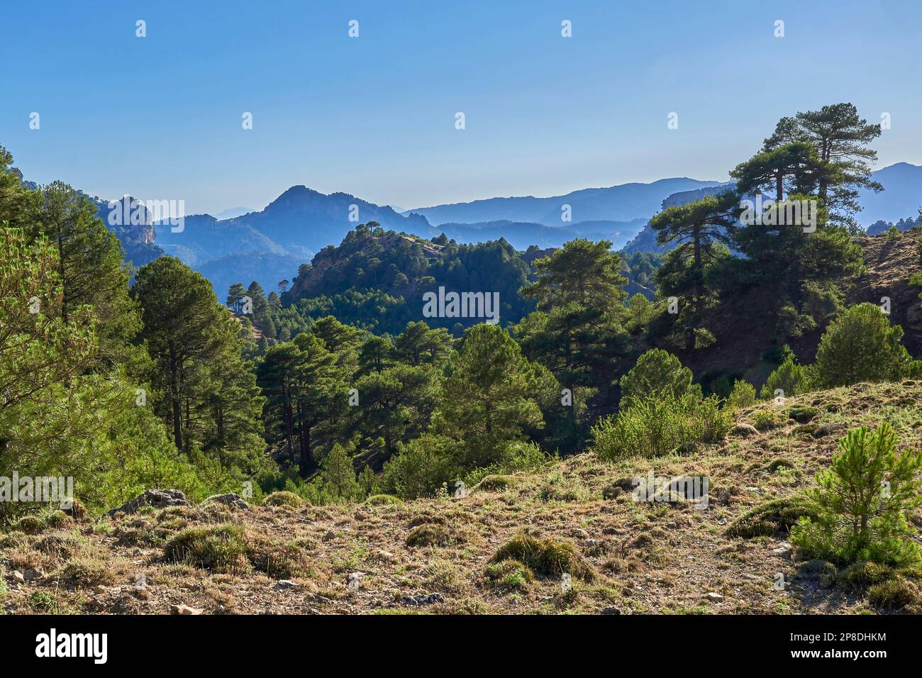 Der Naturpark Sierras de Cazorla, Segura y Las Villas ist das größte Schutzgebiet Spaniens und das zweite in Europa. Biosphärenreservat der UNESCO Stockfoto