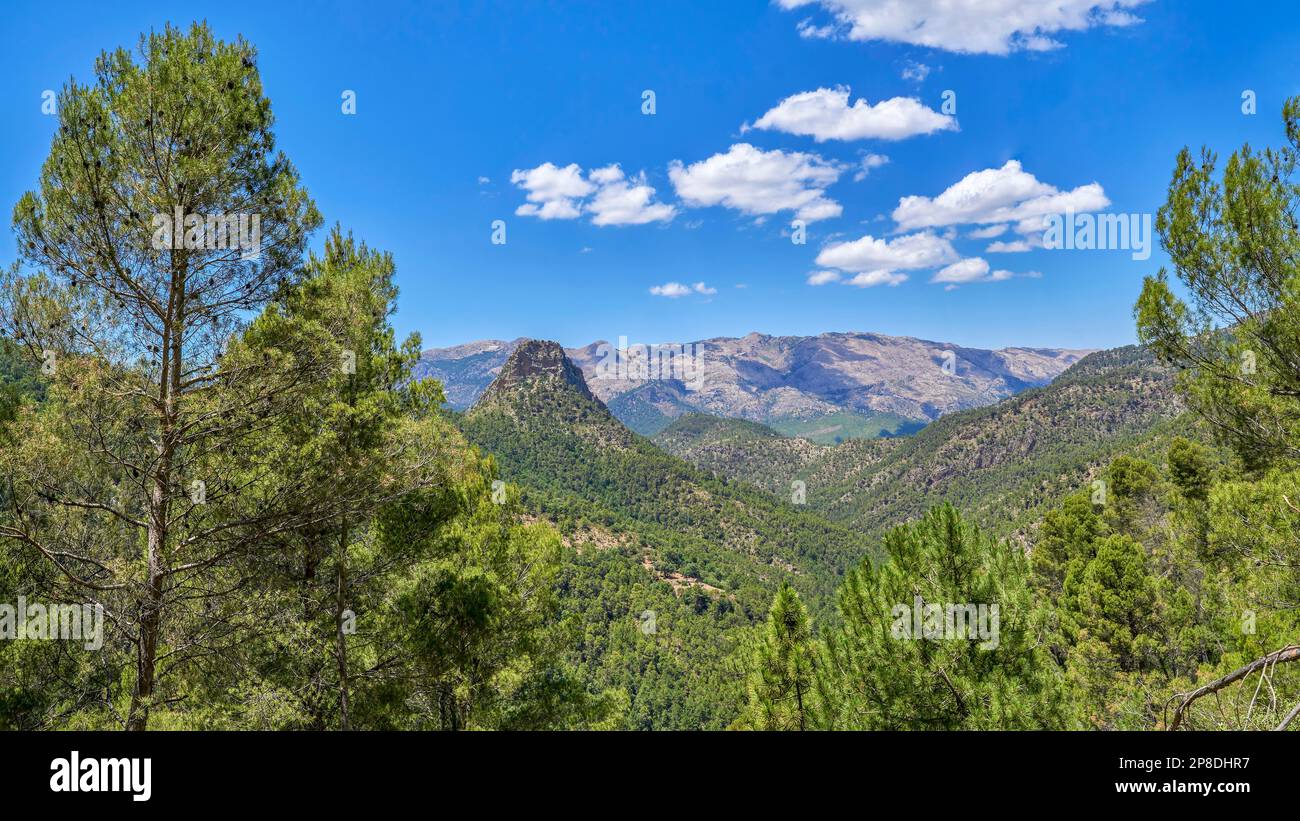 Der Naturpark Sierras de Cazorla, Segura y Las Villas ist das größte Schutzgebiet Spaniens und das zweite in Europa. Biosphärenreservat der UNESCO Stockfoto