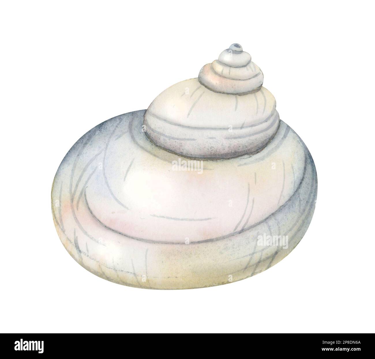 Aquarelle Spiralmuschel in Pastellblau Beige, isoliert auf Weiß. Handgezeichnete nautische Darstellung eines Unterwassertieres Stockfoto