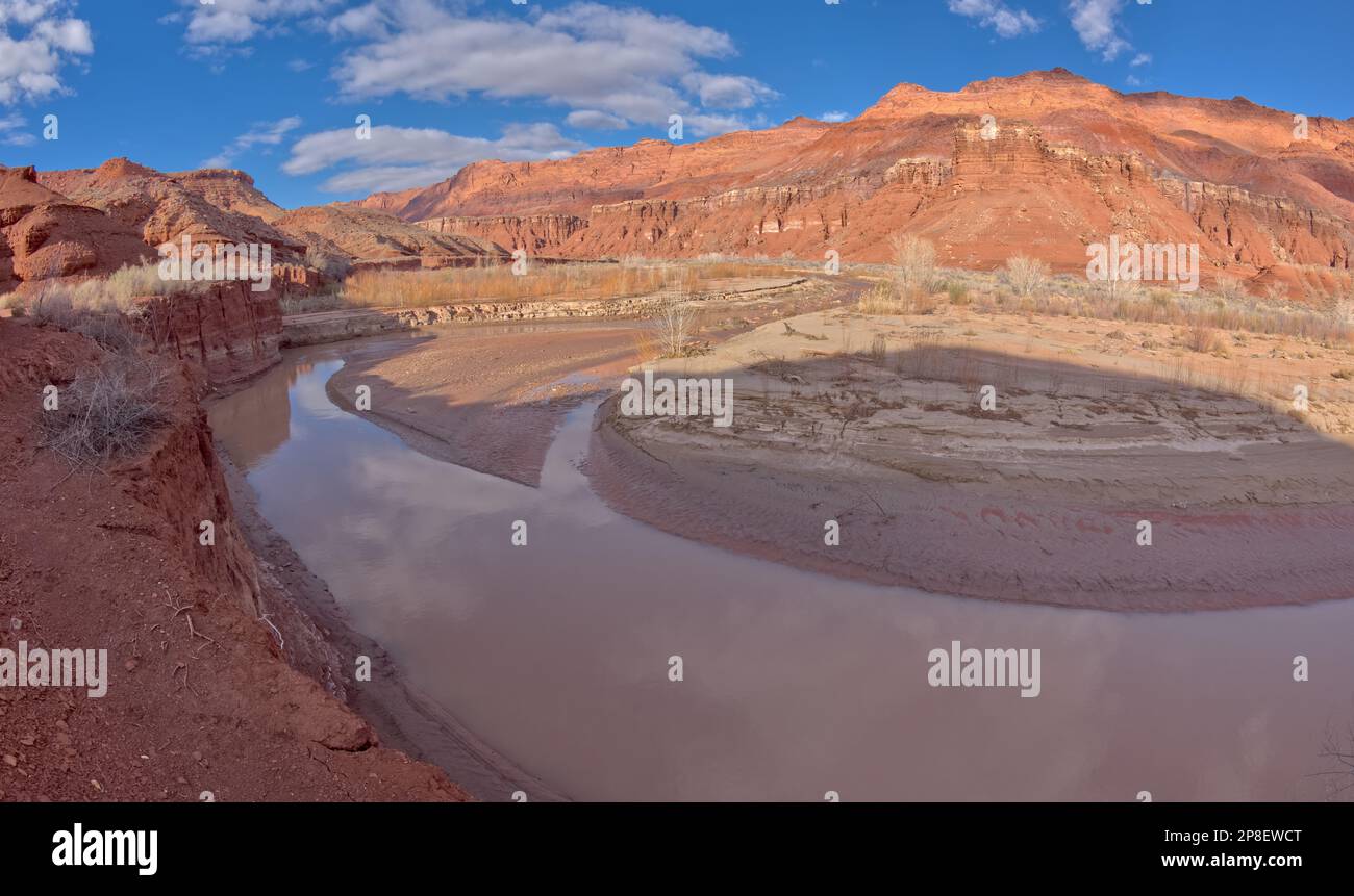 Paria River im Glen Canyon National Recreation Area, Arizona, USA Stockfoto