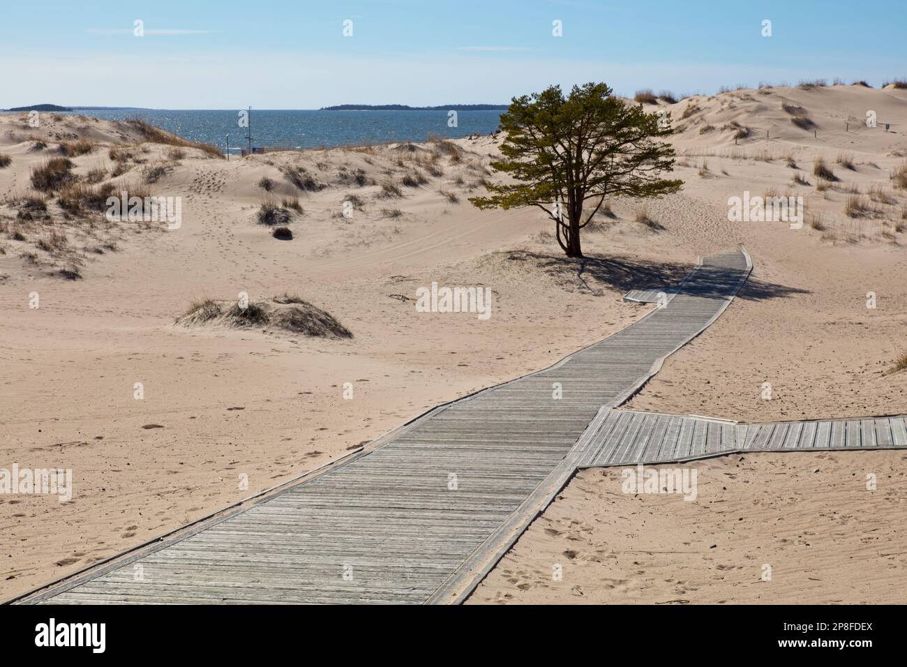 Dünen am Yyteri-Strand mit Holzpfaden im Frühling, Pori, Finnland. Stockfoto