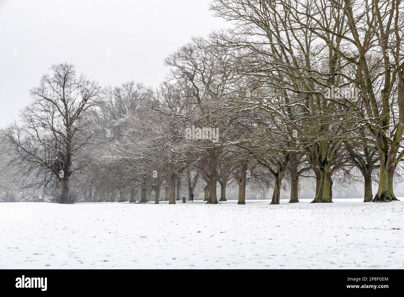 Northampton, Großbritannien Wetter, 9. März 2023. Der nächtliche Schnee geht bis in den Morgen über den Abington Park mit Temperaturen von etwa 1 Grad. Kredit: Keith J. Smith./Alamy Live News Stockfoto