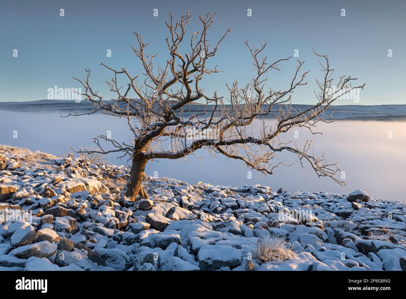 Schnee bedeckt die Bäume und den Boden, und Nebel füllt das Tal in der Nähe des Dorfes Kettllewell, Upper-Wharfedale, Yorkshire Dales National Park, Großbritannien. Stockfoto