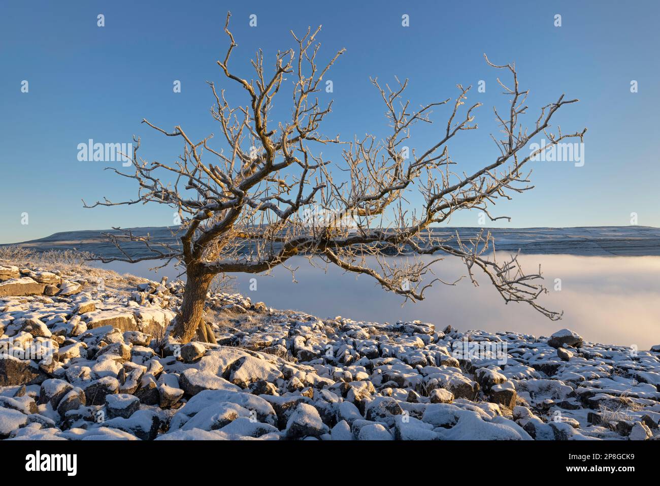 Schnee bedeckt die Bäume und den Boden, und Nebel füllt das Tal in der Nähe des Dorfes Kettllewell, Upper-Wharfedale, Yorkshire Dales National Park, Großbritannien. Stockfoto