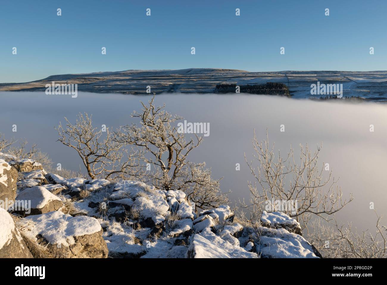 Schnee bedeckt die Bäume und den Boden, und Nebel füllt das Tal in der Nähe des Dorfes Kettllewell, Upper-Wharfedale, Yorkshire Dales National Park, Großbritannien. Stockfoto