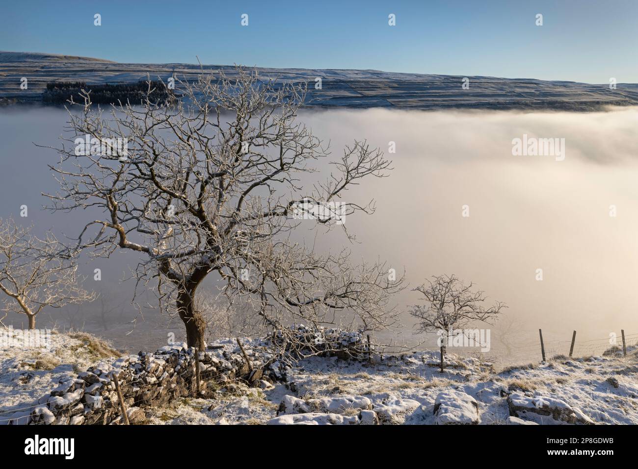 Schnee bedeckt die Bäume und den Boden, und Nebel füllt das Tal in der Nähe des Dorfes Kettllewell, Upper-Wharfedale, Yorkshire Dales National Park, Großbritannien. Stockfoto