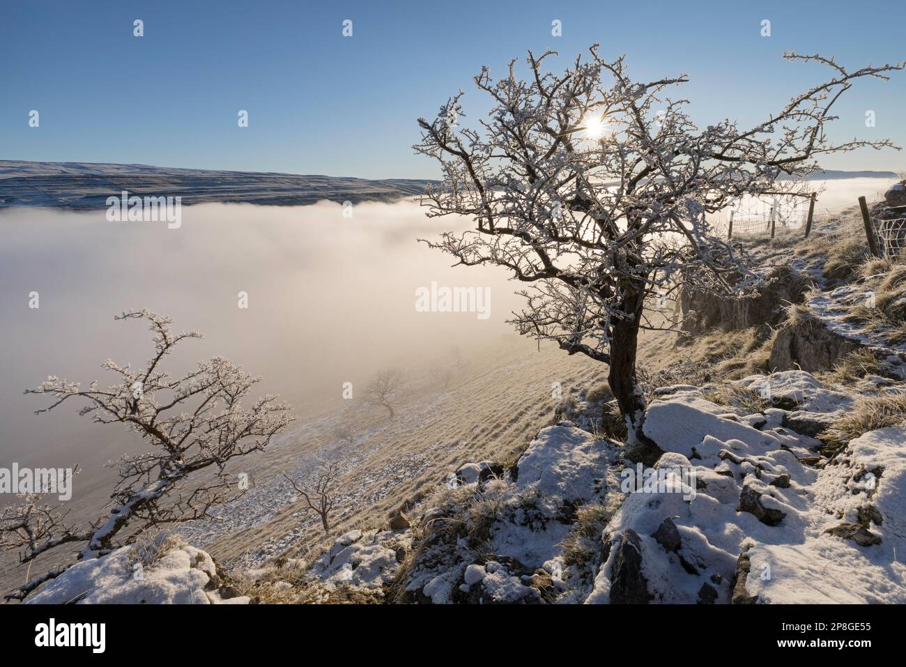 Schnee bedeckt die Bäume und den Boden, und Nebel füllt das Tal in der Nähe des Dorfes Kettllewell, Upper-Wharfedale, Yorkshire Dales National Park, Großbritannien. Stockfoto