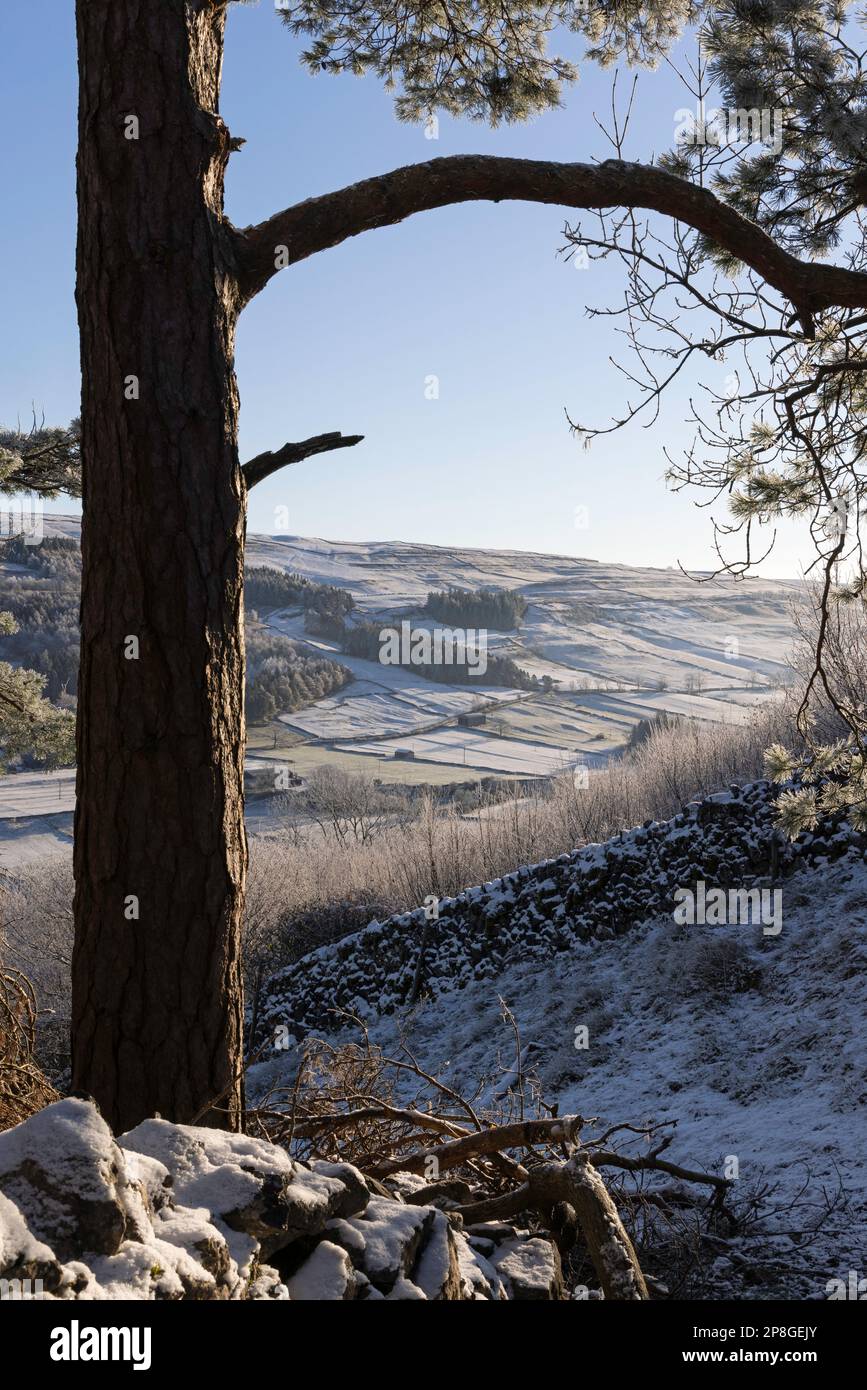 Blick auf den Winter, Blick auf Upper-Wharfedale, in der Nähe des Dorfes Kettlewell, Yorkshire Dales, Großbritannien Stockfoto