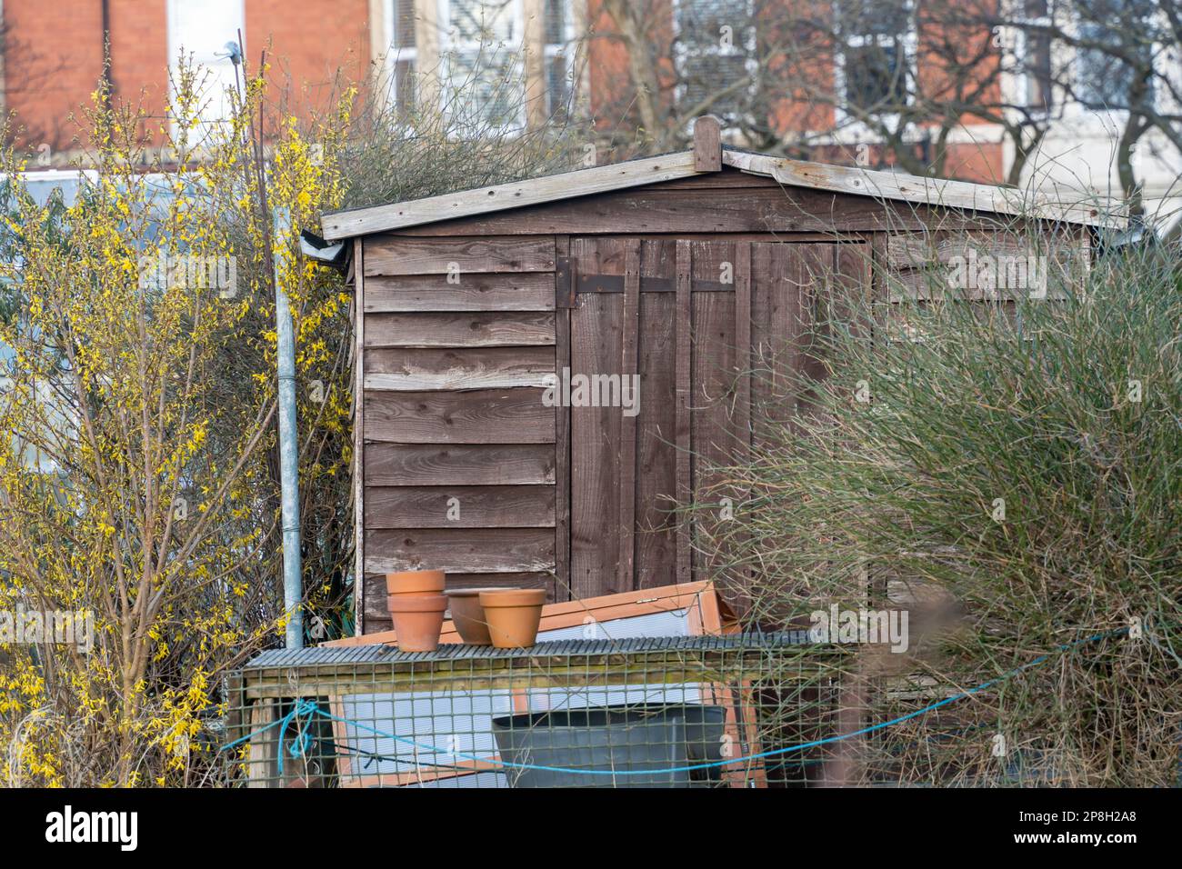 Zuteilung im Monat März mit Schuppen und Pflanztöpfen. Vorbereitung für den Frühling. Stockfoto