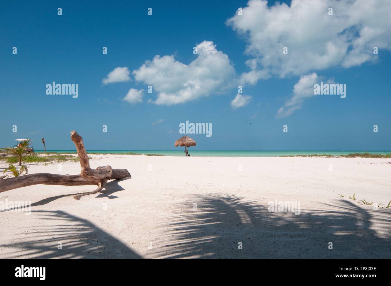 Panoramablick auf einen tropischen weißen Sandstrand mit Strohschirm am Meer vor dem blauen Himmel auf Holbox Island in Mexiko Stockfoto