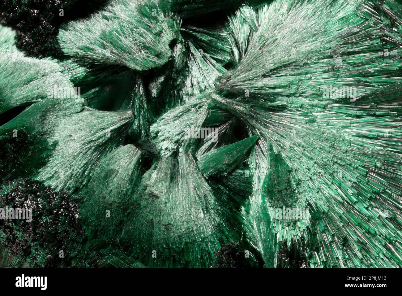 Fibrose Malachite (Kupfercarbonathydroxid)-Nahtaufnahmen. Bildrahmen c8mm horizontal Stockfoto