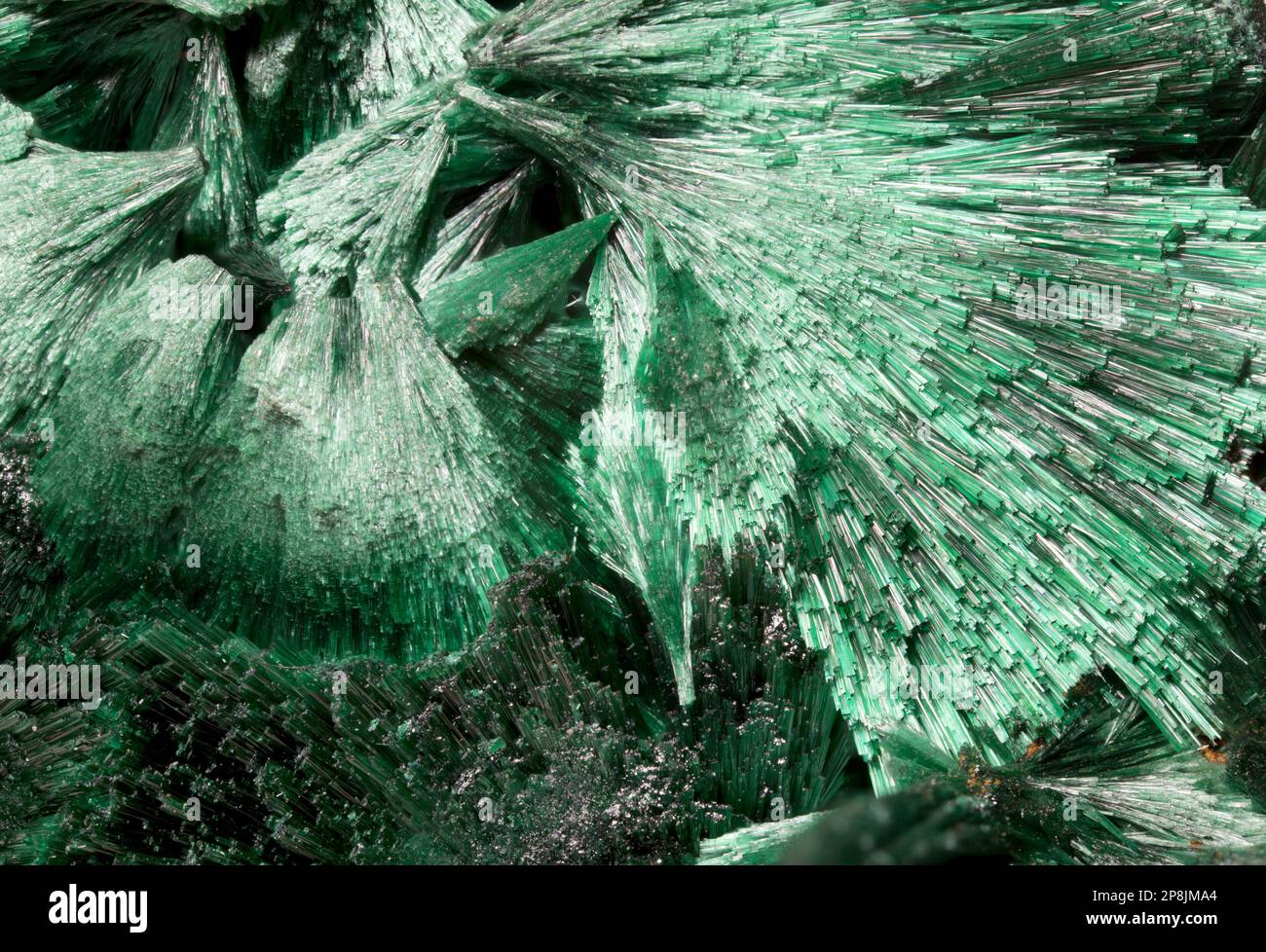Fibrose Malachite (Kupfercarbonathydroxid)-Nahtaufnahmen. Bildrahmen c8mm horizontal Stockfoto