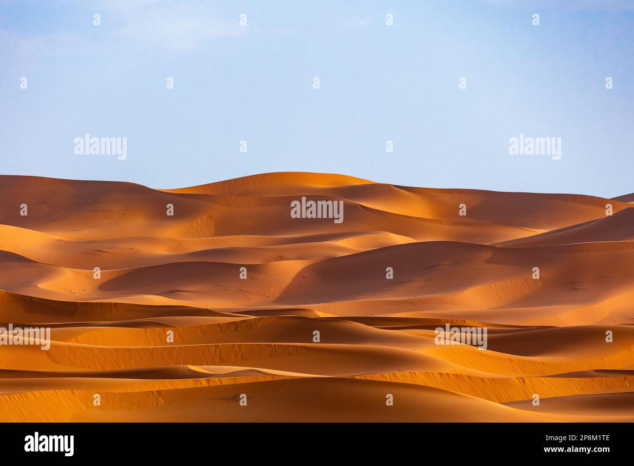 Low-Angle-Aufnahme der Sahara bei Sonnenuntergang. Stockfoto