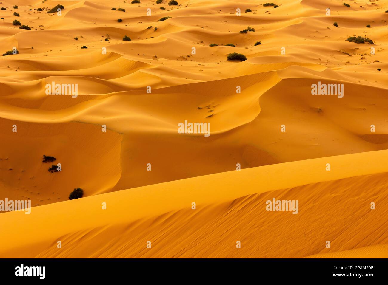 Foto über der Sahara. Stockfoto