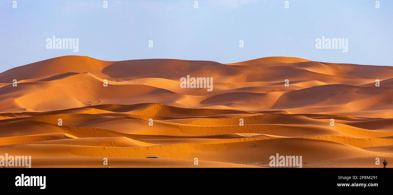 Panorama der Sahara-Wüste bei Sonnenuntergang Stockfoto