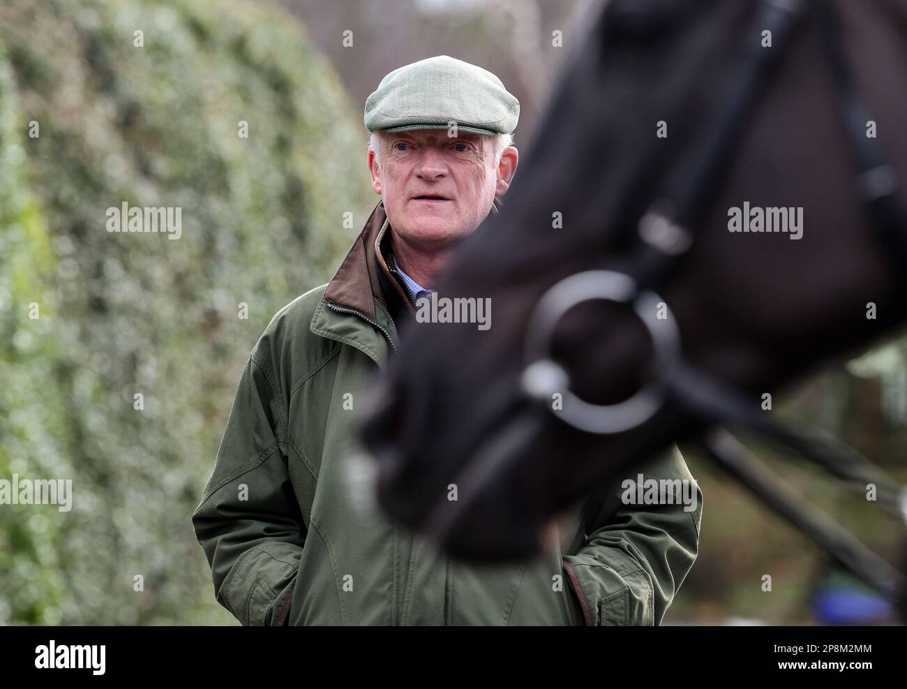 Aktenfoto von 06-02-2023 von Willie Mullins, der beharrlich auserwählt wurde für die "Brown Advisory Novice' Chase" am Mittwoch in Cheltenham. Ausgabedatum: Donnerstag, 9. März 2023. Stockfoto