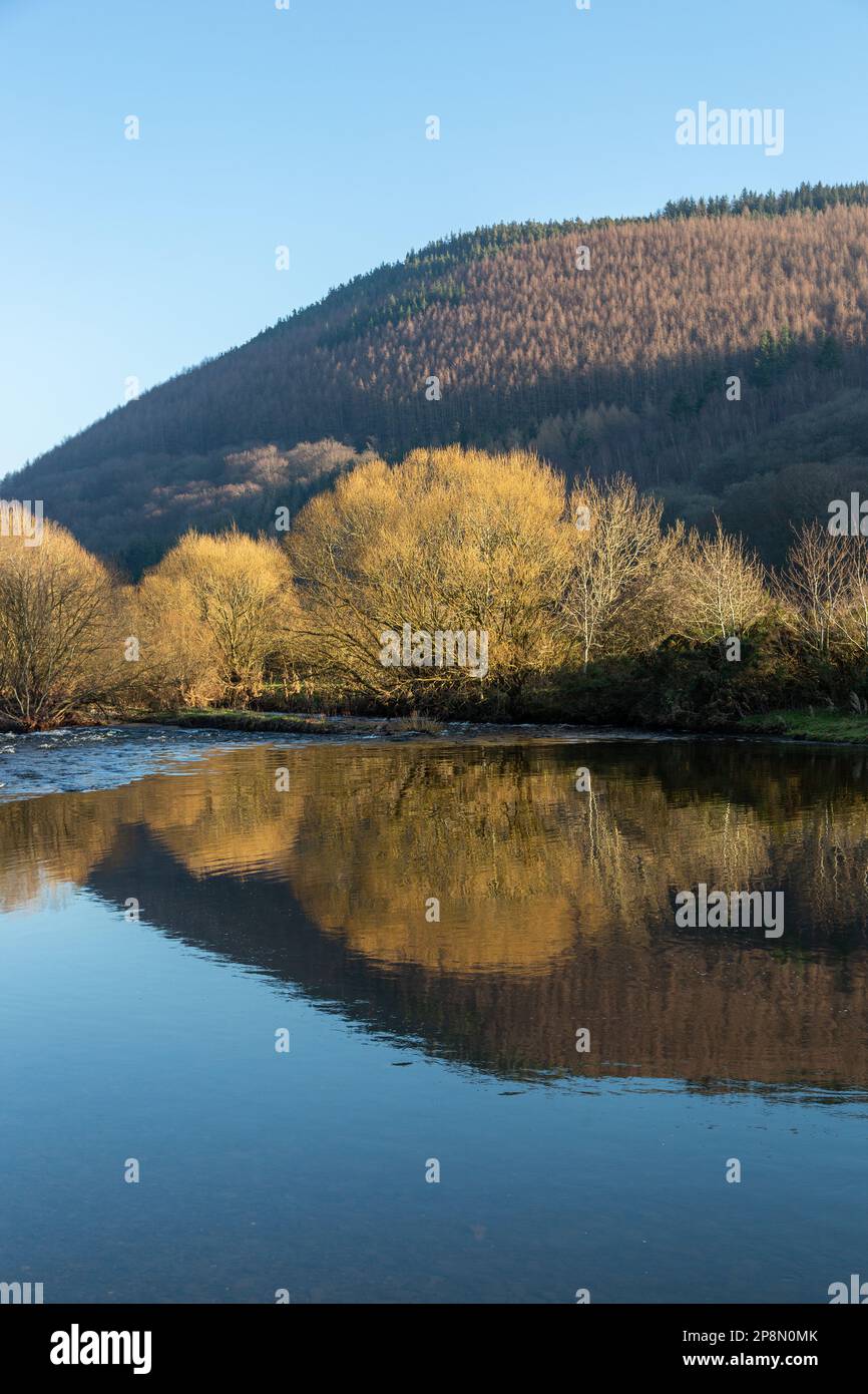 Der Fluss Tweed bei Walkerburn an der schottischen Grenze. Stockfoto