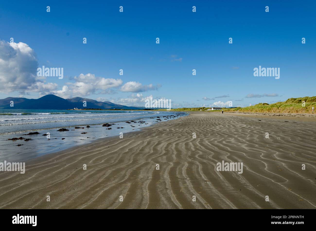 Schöner Tyrella Strand mit Wellen im Sand und die Mourne Berge im Hintergrund unter blauem Himmel Stockfoto