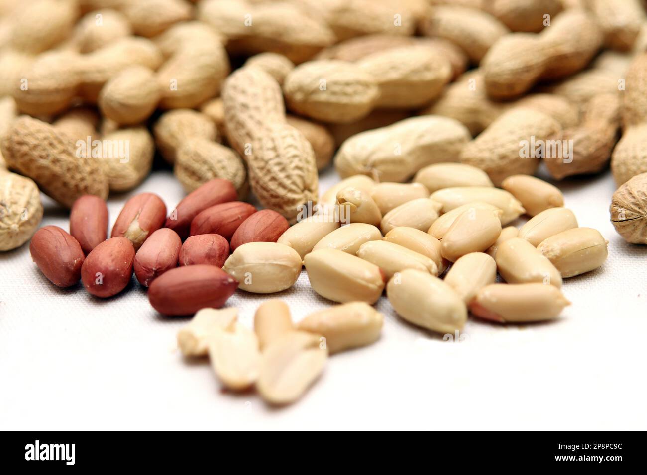 Bio Erdnüsse Stockfoto