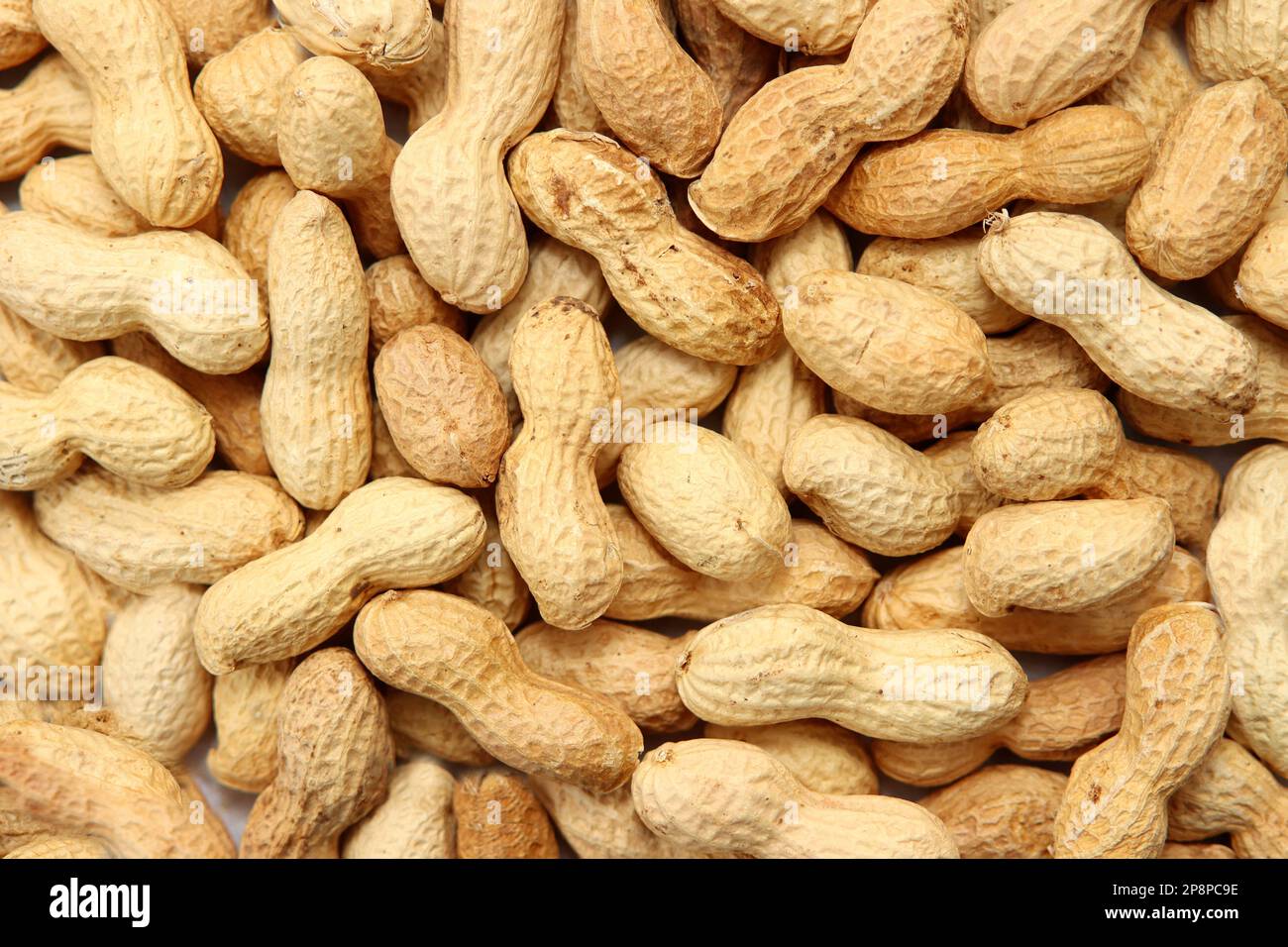 Bio Erdnüsse Stockfoto