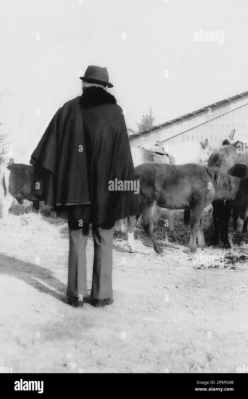 Agricoltura e Allevamento - Fiera Agricola di Codogno 1979 Stockfoto