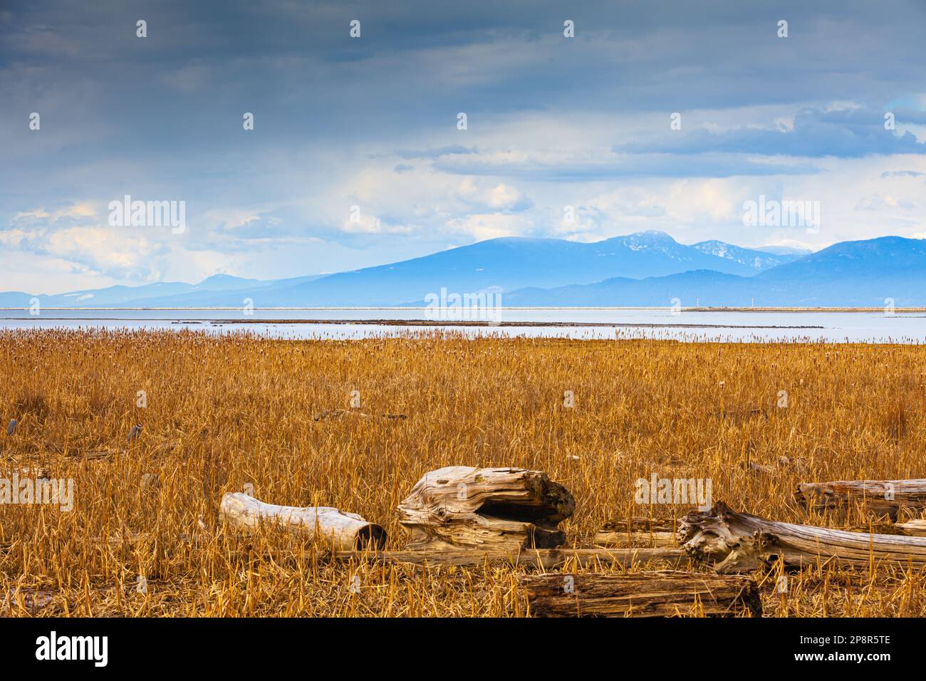 Küstenmarsch und Berge in der Nähe von Vancouver, Kanada Stockfoto