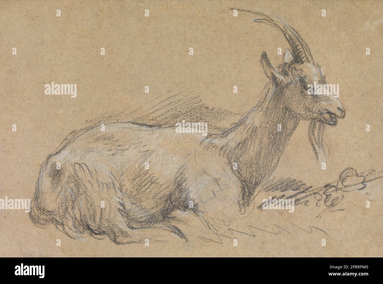 Untersuchung einer Ziege Ende 1770er von Thomas Gainsborough Stockfoto