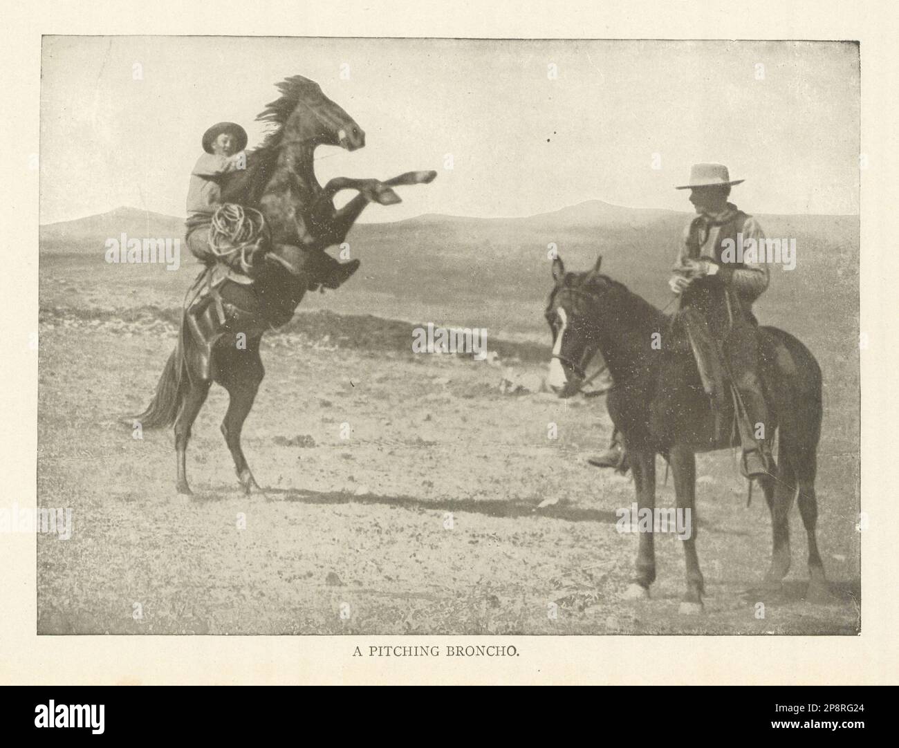 Ein Pitching Broncho. USA 1907 altes, antikes, altmodisches Druckbild Stockfoto