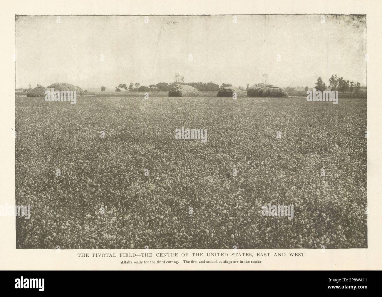 GEOGRAFISCHES ZENTRUM DER VEREINIGTEN STAATEN. Alfalfa Field 1907 alter Antiquitätenabdruck Stockfoto