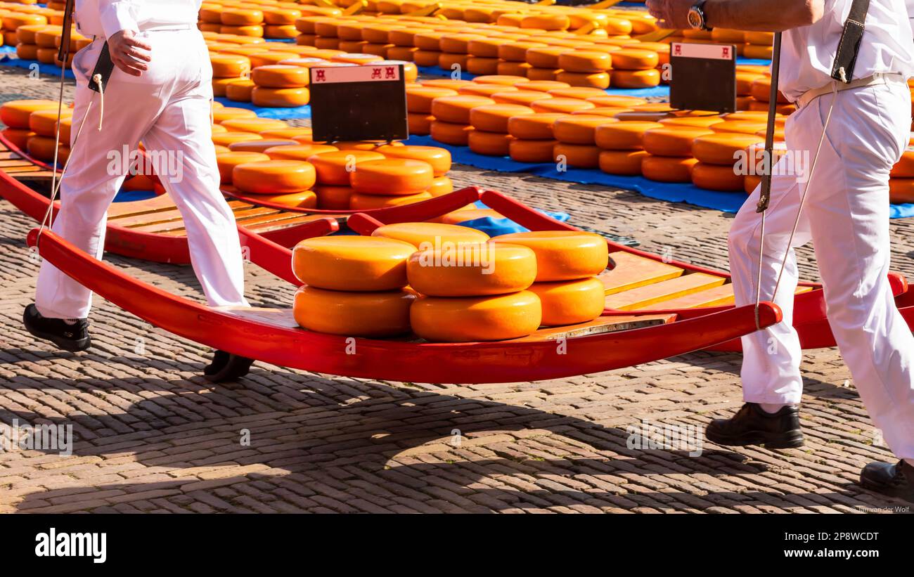 Käseträger auf dem Käsemarkt in der niederländischen Stadt Alkmaar. Stockfoto