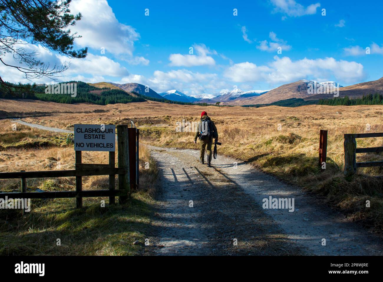 Hillwalker Walking in den schottischen Highlands, Glen Etive Munros von Clashgour Estate, Argyll & Bute Stockfoto