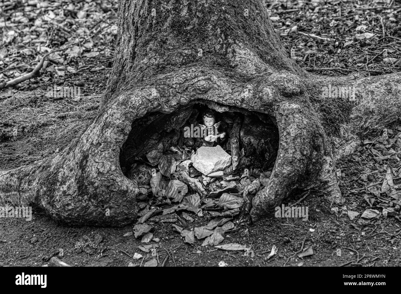 Kleiner Engel mit Gitarre in einem Loch eines Baumes mitten im Wald (F/W) Stockfoto