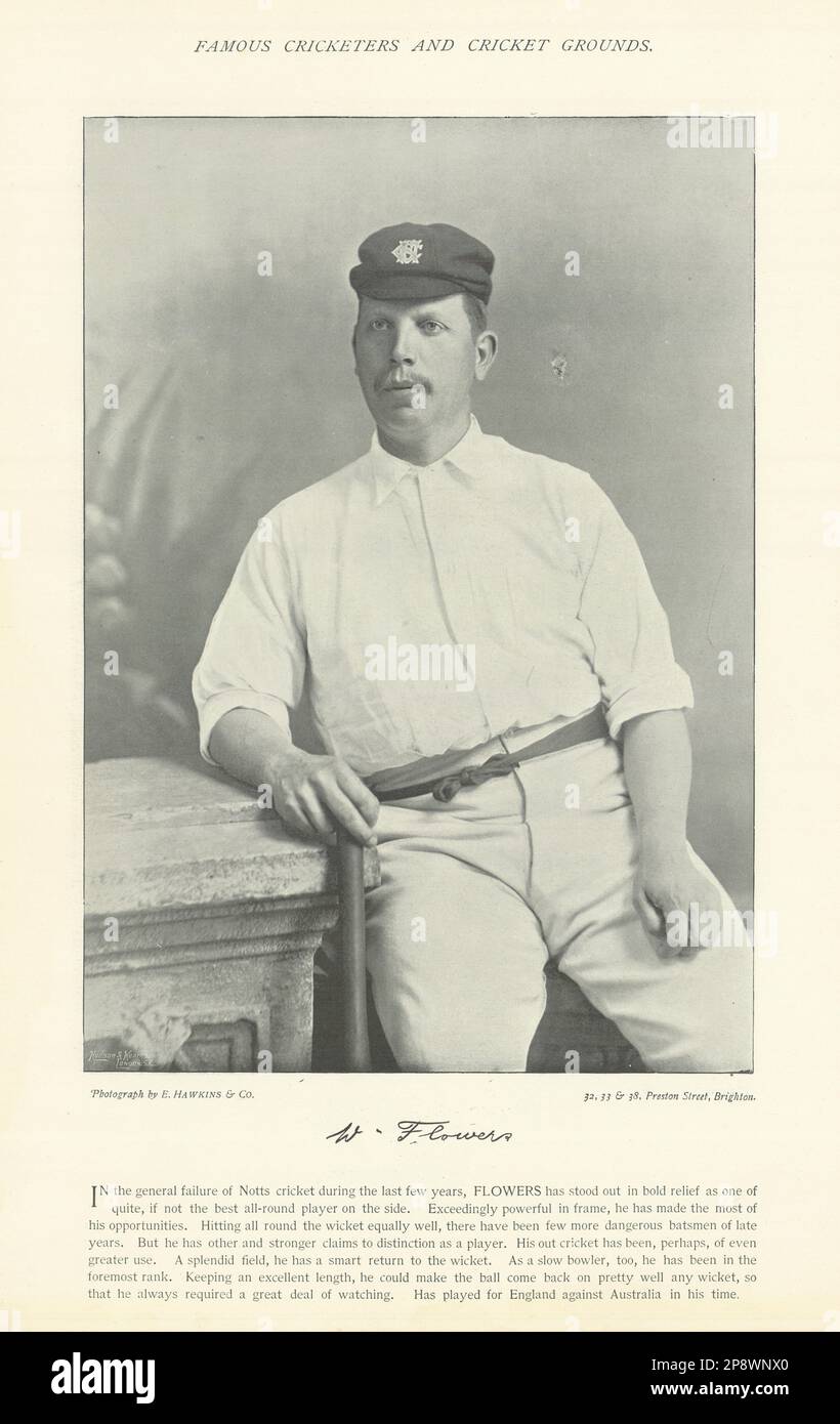 Wilfred Flowers. Allrounder. Nottinghamshire Cricketer 1895 alter antiker Druck Stockfoto